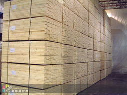 上海建材市场供应优质云杉，助力城市建设与家居装修