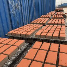 扬州城市政工程中的铺地艺术 荷兰砖、水泥砖与渗水砖的应用与展望